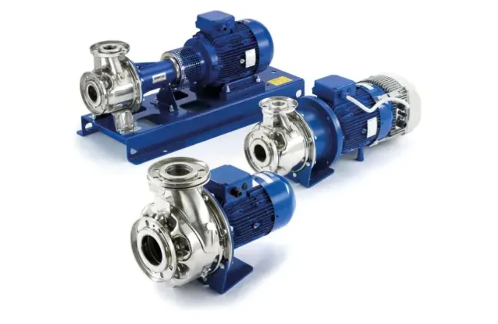What Are Lowara Pumps and How Do They Work?